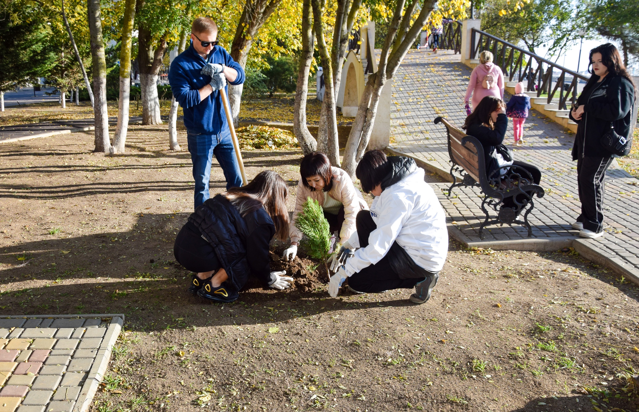 В Евпатории прошла экологическая акция «Посади свое дерево жизни»