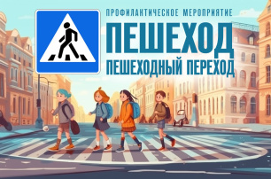 Госавтоинспекция Евпатории проводит профилактическое мероприятие «Пешеход. Пешеходный переход» Госавтоинспекция Евпатории проводит профилактическое мероприятие «Пешеход. Пешеходный переход»