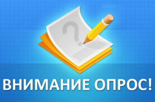 Проводится опрос об удовлетворенности услугами дополнительного образования детей