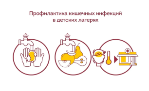 Профилактика кишечных инфекций в детских летних оздоровительных учреждениях Профилактика кишечных инфекций в детских летних оздоровительных учреждениях