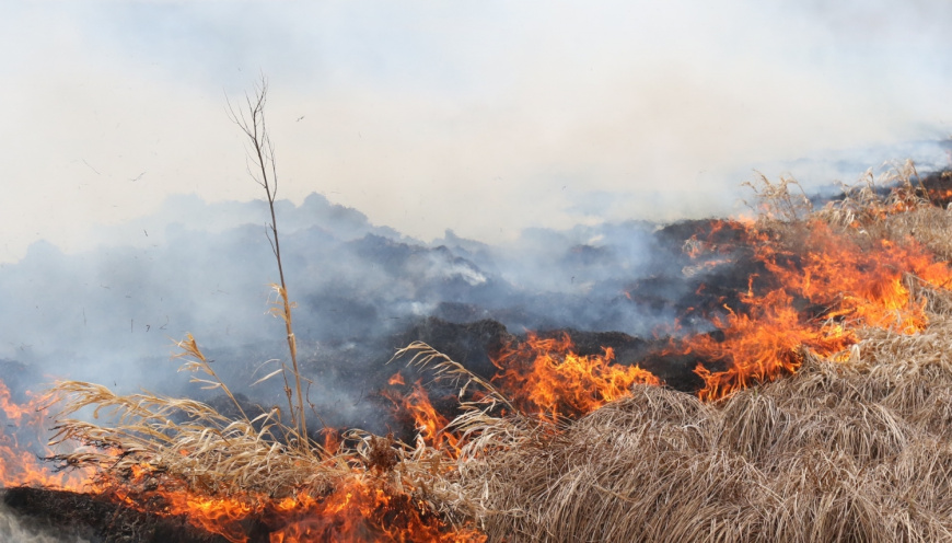 Крымчан предупредили о высокой пожарной опасности