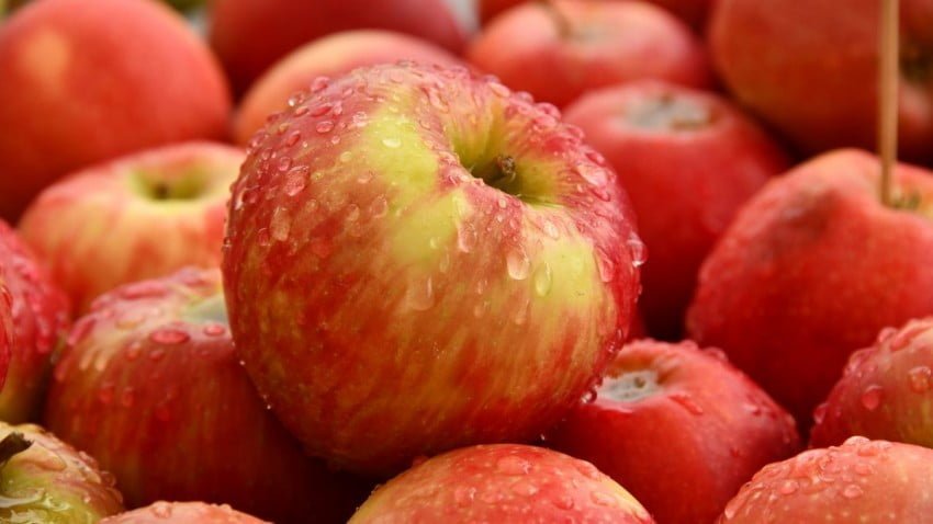 19 августа – Яблочный Спас. Как выбрать яблоки