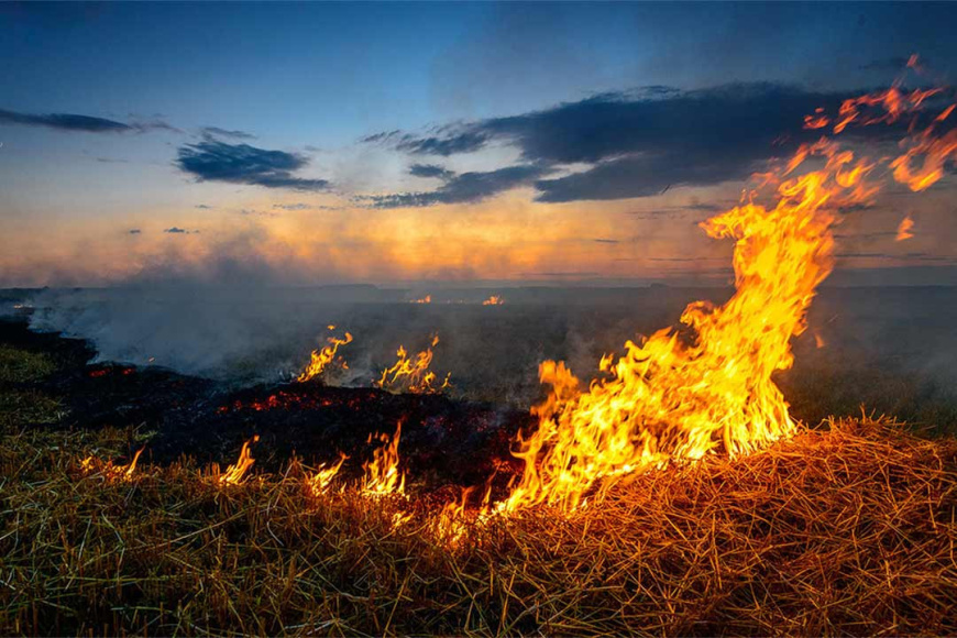 Россельхознадзор напоминает о профилактике пожароопасных ситуаций на землях сельхозназначения