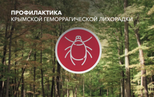 Профилактика крымской геморрагической лихорадки Профилактика крымской геморрагической лихорадки