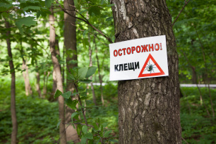 О противодействии распространению инфекций, передающихся с укусом клещей О противодействии распространению инфекций, передающихся с укусом клещей