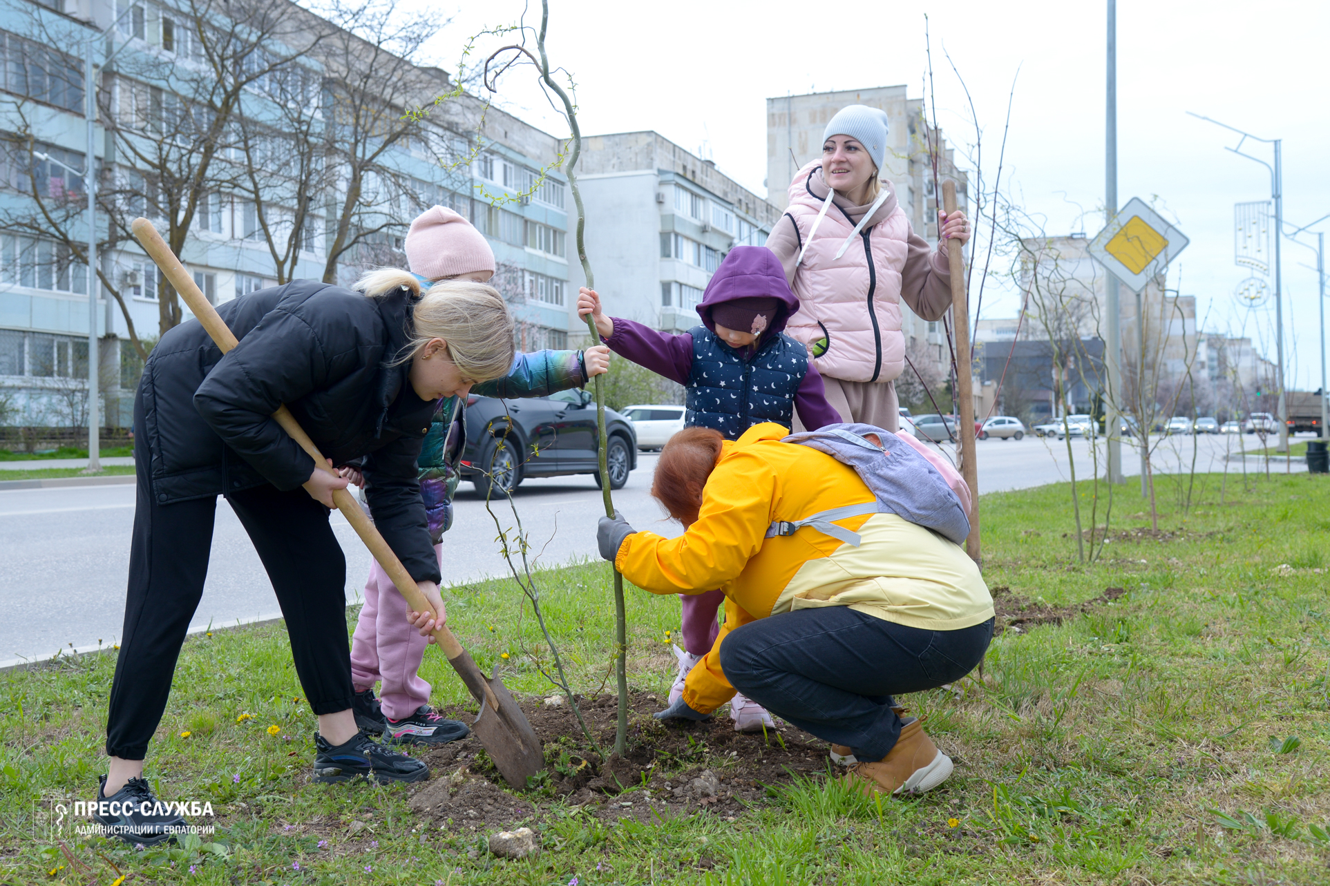«Посади свое дерево жизни»: в Евпатории высадили около  тысячи саженцев