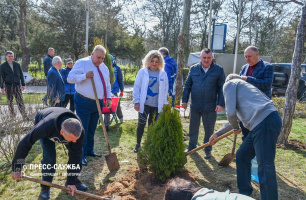 В Евпатории высадили деревья дружбы