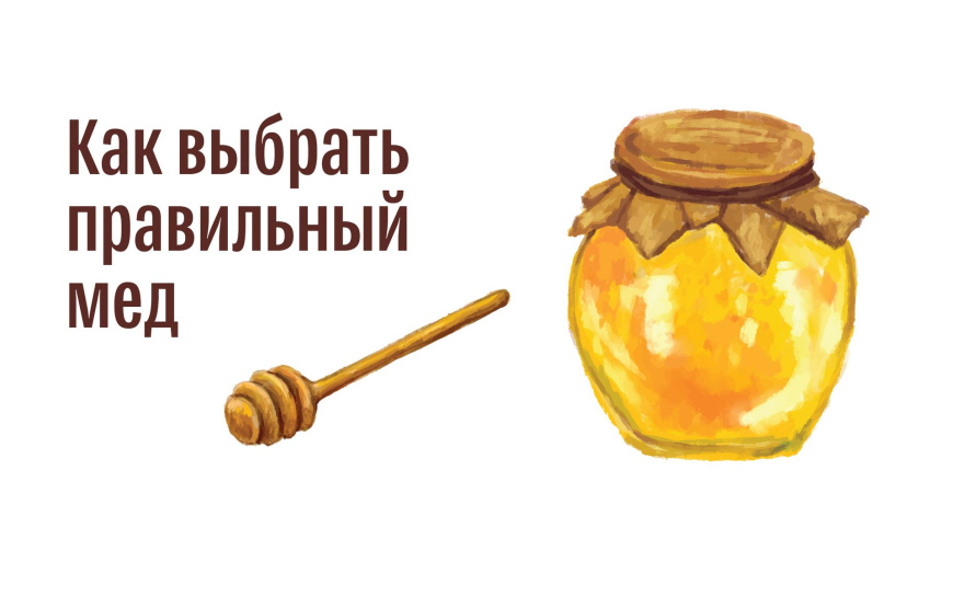 Как правильно выбрать мед 