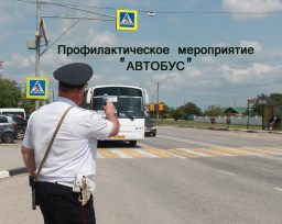 В Евпатории стартует профилактическое мероприятие по проверке соблюдения требований к перевозке пассажиров