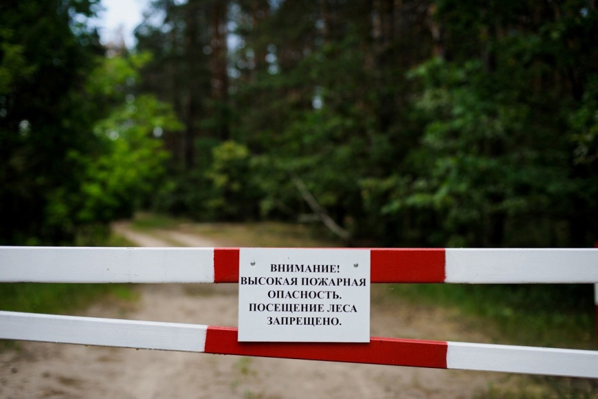 В Крыму до 3 октября продлили запрет на посещение лесов