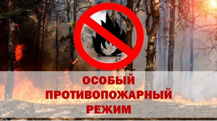 МЧС РК: С 8 июля в Крыму будет введен особый противопожарный режим