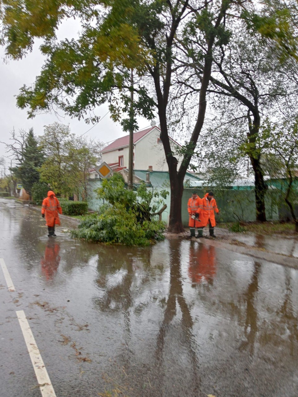 Непогода повалила более 30 деревьев в Евпатории 