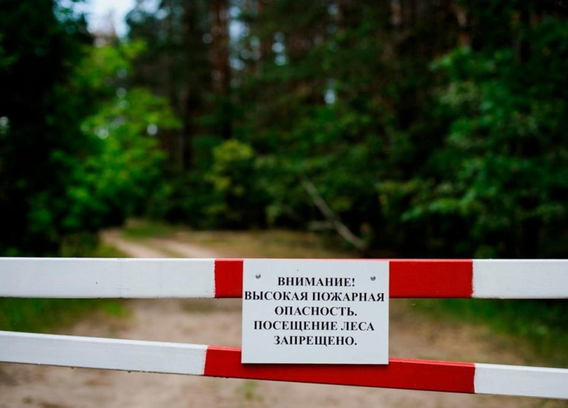 В Крыму до 17 июля продлили запрет на посещение лесов