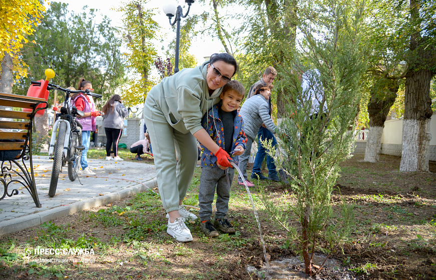 Евпатория присоединилась к Всекрымской акции «Посади своё дерево жизни!»
