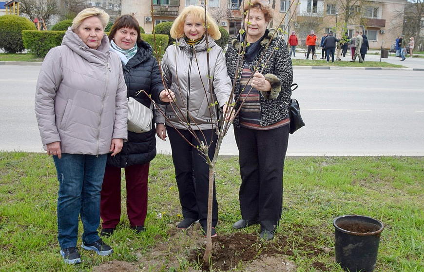 «Посади свое дерево жизни»: в Евпатории высадили около  тысячи саженцев