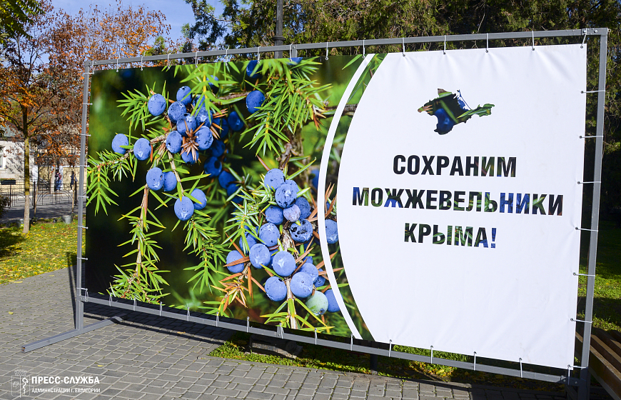 В Евпатории высадили саженцы можжевельника в рамках экологической акции