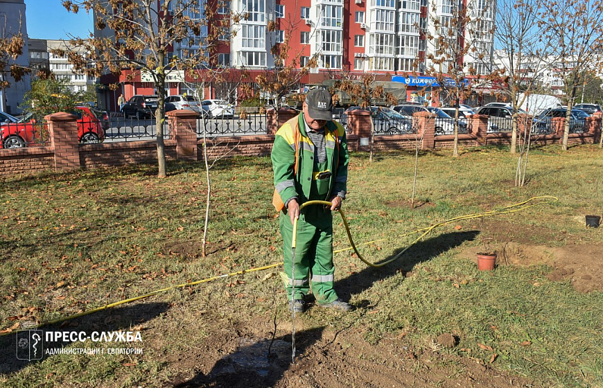 На Красной горке высадили деревья, выращенные учеными Воронежского лесотехнического университета