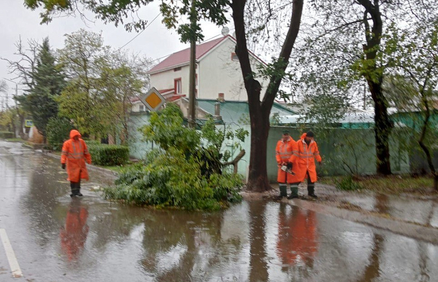 Непогода повалила более 30 деревьев в Евпатории 