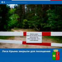 Леса Крыма закрыли для посещения